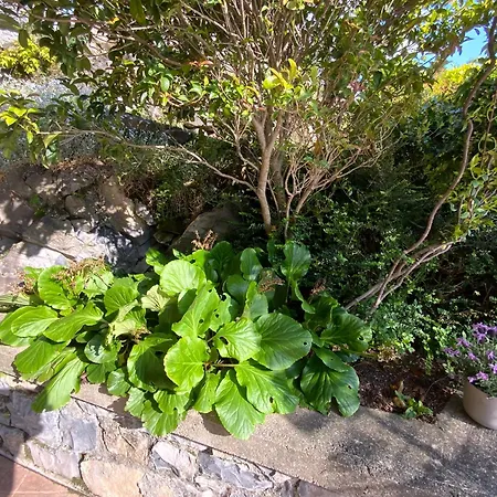 Villa Rosina Gardino Nesso