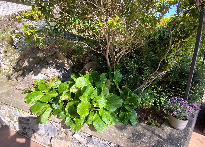 Βίλα Rosina Gardino Nesso