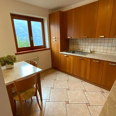 Rosina Gardino 네소