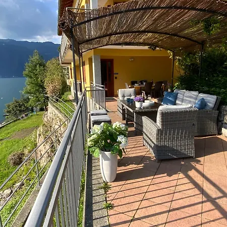 Rosina Gardino 네소